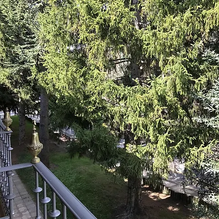 Apartment Balcon De I *